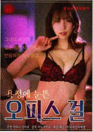 雪的第九封信 韩剧封面